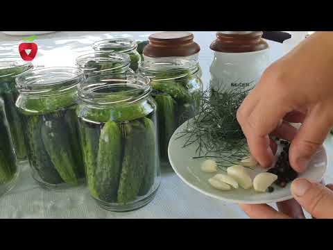 The best recipe for delicious pickles without additives and preservatives