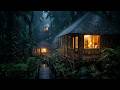 Soothing Cabin Rain at Night 🌧️ Deep Sleep Sounds for Calm Mind, Focus & Stress Relief