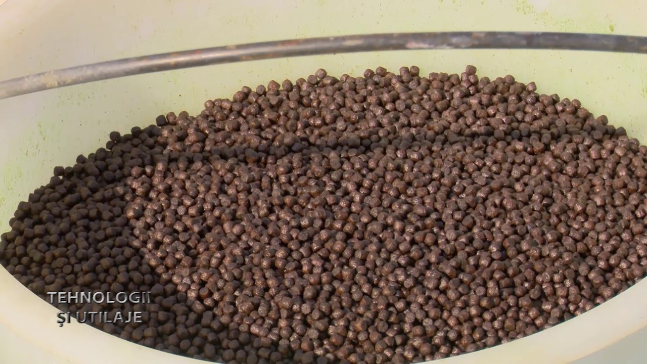 Tehnologii si utilaje Pastravarie Sirna Prahova 08 10 2020