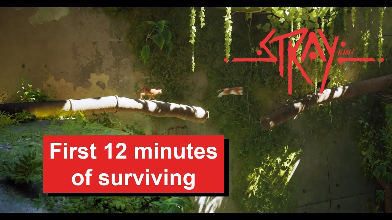 First 12 minutes of surviving  | Stray gameplay 