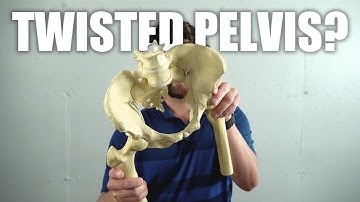 Pelvis Twisted To The Left? - Don