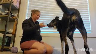 Information BH370: Kimber and Moxie's Week 9 Homework Guide