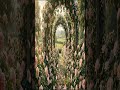 Secret Rose Garden 🌸 4K Frame TV Art #Shorts #art #flowers #painting #contemporaryart