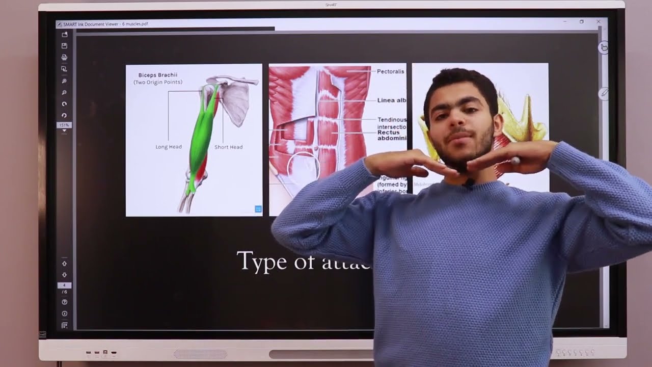 General anatomy | 11- Muscular System