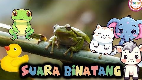 Lagu SUARA BINATANG - Lagu Anak Populer - KBeeb #laguanak #suarabinatang