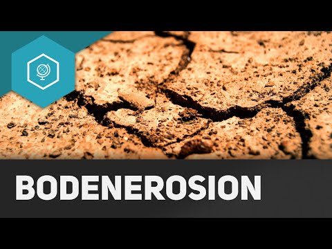 Video: Was sind zwei Ursachen für Bodenerosion?
