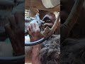 Fixing a 10wheeler truck 🚛 Shaft#mechanic #automobile #truck #shaft #viralvideo #shorts