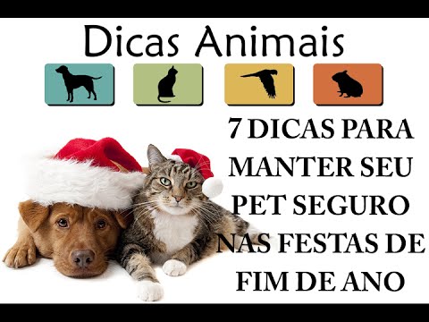 Vídeo: Desastres! Você tem um plano de emergência para o seu cão?