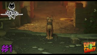 Прохождение игры Stray (PC) #1 (Кот, бродящий в Киберпанке)