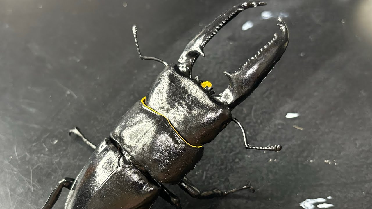 Repaint] Palawan Giant Stag Beetle, Animalie Collection, Studio