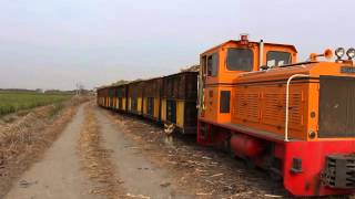 2015 01 03(4)虎糖803次10番開車(115+22車)