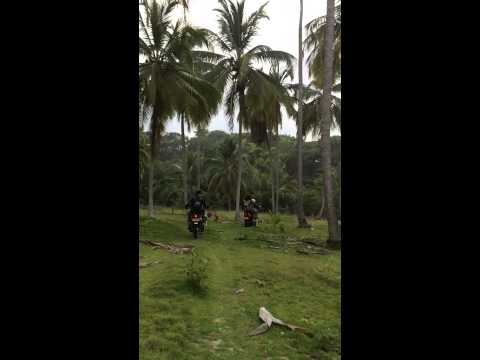 Paintball motor 2