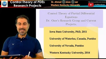 For Graduate Students- Control Theory of Partial Differential Equations