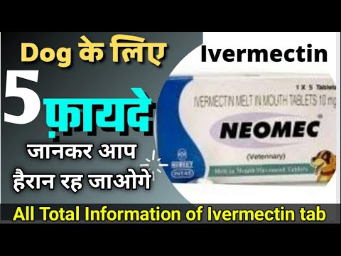 कुत्तों के लिए Ivermectin Neomec Tablet खुराक हानिकारक प्रभाव का उपयोग करता है