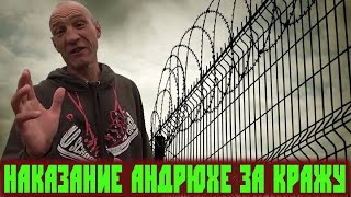 КАКОЕ НАКАЗАНИЕ АНДРЮХЕ ЗА КРАЖУ? / КОРОЛЬ АНДРОИД ИЗМЕНИЛСЯ В ПОВЕДЕНИИ / СТРИМ ХОЧУ ПОЖРАТЬ