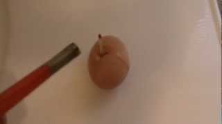 How To Blow Up an Egg
