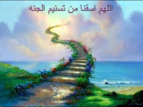 ومزاجه من تسنيم سورة المطففين آية 27 