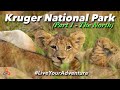 14 Days in The Kruger National Park South Africa | Part 1