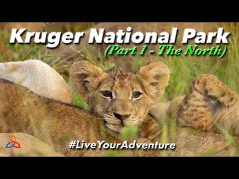 14 Days In The Kruger National Park South Africa | Part 1
