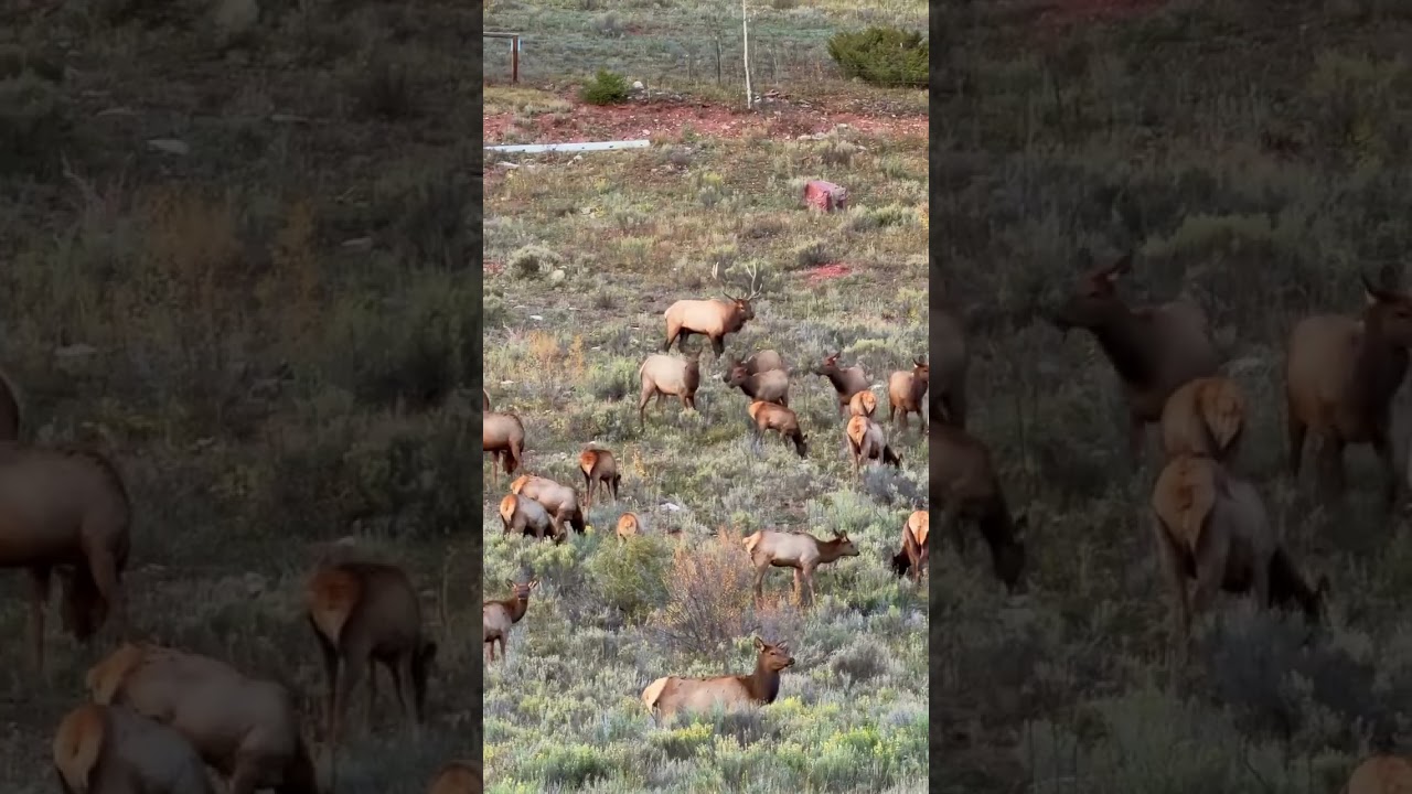 Can’t believe more people are not talking about this… Follow for more hidden gems and bucket list