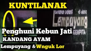 Penampakan Kuntilanak Kebun Jati