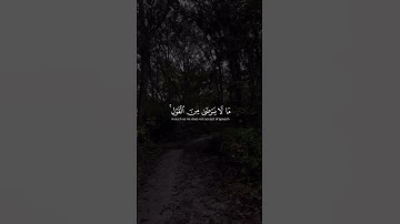 قرآن كريم #المصحف #القارئ #السعودية #ترند الشيخ ياسر الدوسري