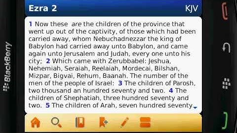 AcroBible NIV for Blackberry Storm Navigation