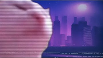 Cat vibing to Elden Ring Synthwave