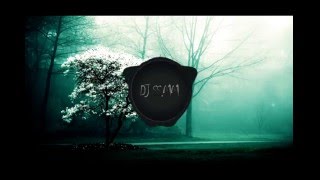 Hardwell &amp;amp; W&amp;amp;W feat  Fatman Scoop    Don't Stop The Madness