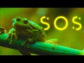 Sos   scifi short film