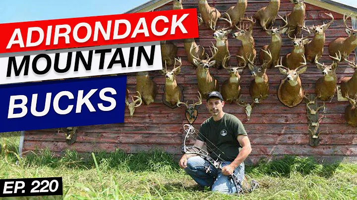 Hunting Adirondack Mountain Bucks