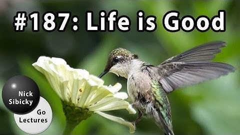 Nick Sibicky Go Lecture #187 - Life is Good