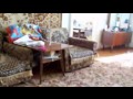 Тест телепортации. Teleportation test.