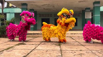 Múa lân trung thu 2024/ trường tiểu học Nguyễn Bá Ngọc p1