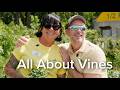 Let's Grow Together: All About Vines