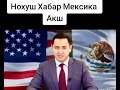 Noxush  Xabar Mexiko Orqali Amerikaga Borish Yopildi