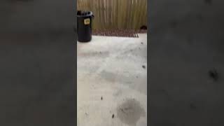 Using only my mind to throw trash in a trash can. #shorts #youtubeshorts #subscribe