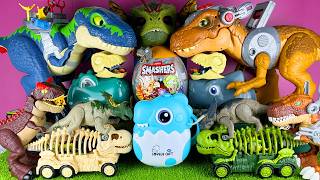 Satisfying ASMR Unboxing Jurassic World Dinosaur T-rex Carnotaurus Triceratops Zuru Smashers 25 Eggs