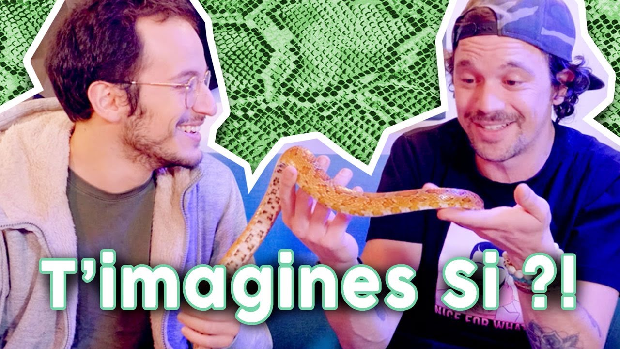 T'imagines si les animaux pouvaient parler ? - ft Toopet 🦁🐍