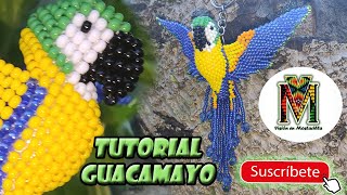 GUACAMAYO.  Parte 5.