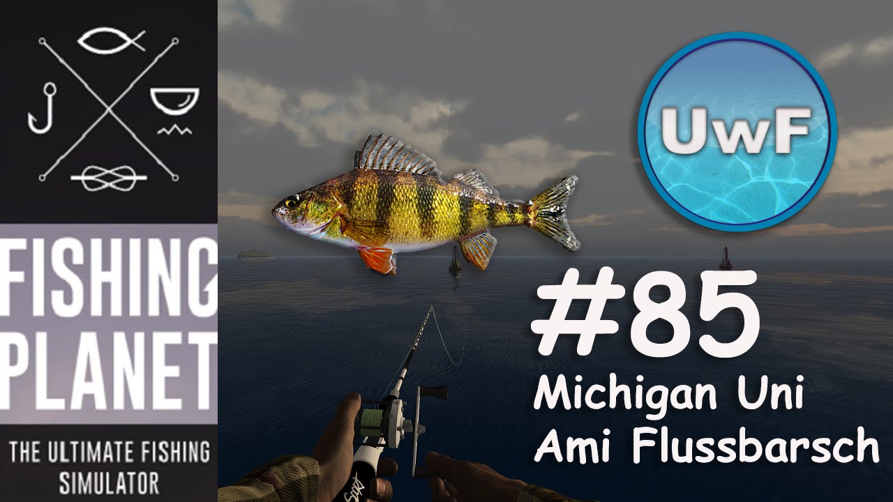 Fishing 85 Michigan Unique Yellow Perch / Ami