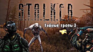 S.T.A.L.K.E.R. Тайные тропы 2+OGSR #сталкер #сталкер2 #games