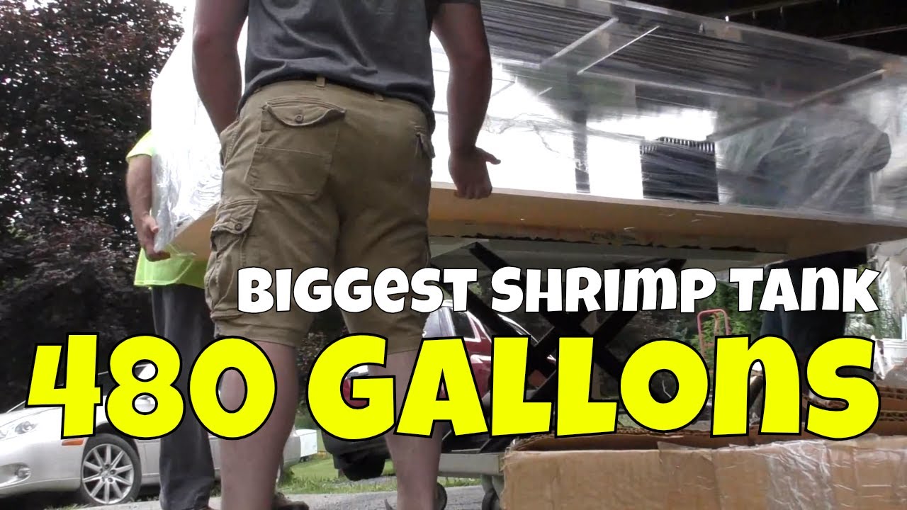 aquarium plants 480 Gallon Aquariums Sound Great but BOY! What a Journey!