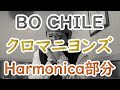 LV.46~54 ザ・クロマニヨンズ 『暴動チャイル(BO CHILE)』 ハーモニカ 部分 吹き方 (Key C & F)
