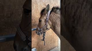 Bunu Biliyor Muydun?