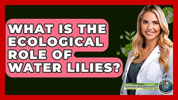 What Is The Ecological Role Of Water Lilies? - Earth Science Answers