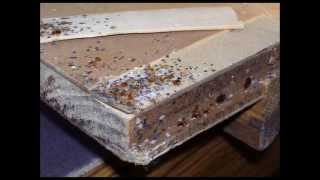 how to get rid of bed bugs | how to get rid of bedbugs | How to Kill Bed Bugs how to get rid of bed bugs | how to get rid of bedbugs | How to Kill Bed Bugs