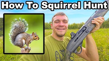 How To Hunt squirrels Early Season for Beginners!
