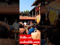 |kollur sri mookambika amma