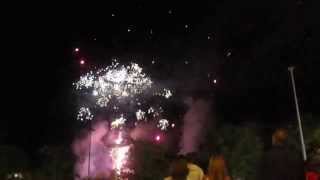 VIANA do Castelo 2014